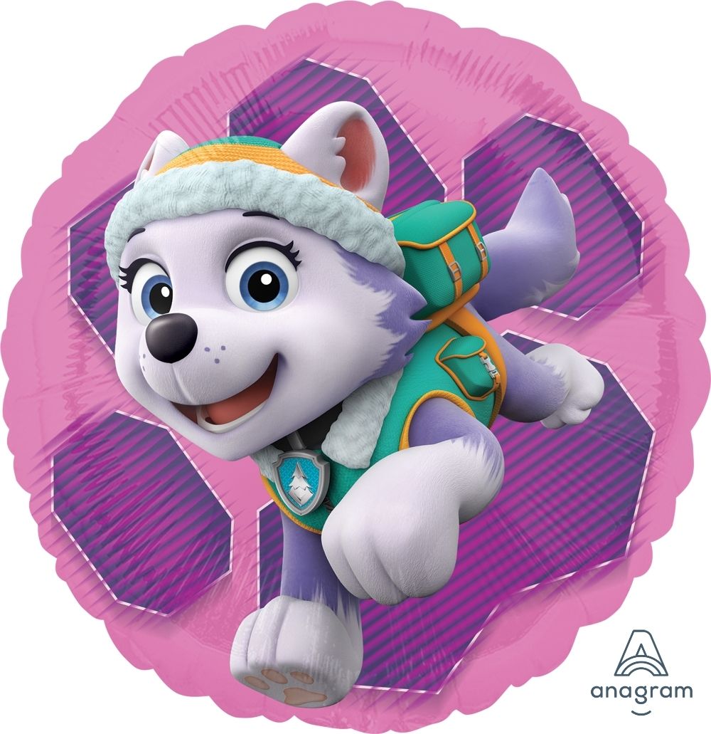 18 inch foil Anagram 45cm Paw Patrol Syke & Everest