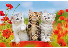 Load image into Gallery viewer, Ravensburger Puzzle - Kitten Adventures 2x12 pieces 3+ yrs
