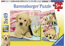 Load image into Gallery viewer, Ravensburger Puzzle - Cute Puppy Dogs 3x49 pieces 5+ yrs
