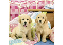 Load image into Gallery viewer, Ravensburger Puzzle - Cute Puppy Dogs 3x49 pieces 5+ yrs
