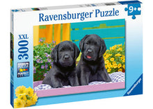 Load image into Gallery viewer, Ravensburger Puzzle - Puppy Life 300pc 9 yrs+
