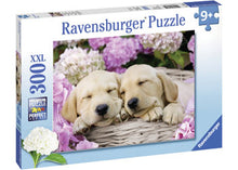 Load image into Gallery viewer, Ravensburger Puzzle - Sweet Dogs in a Basket 300pc 9 yrs+
