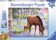 Load image into Gallery viewer, Ravensburger Puzzle - Serene Sunset 300pc 9 yrs+
