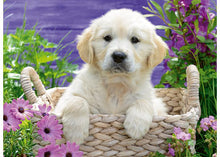 Load image into Gallery viewer, Ravensburger Puzzle - Sweet Golden Retriever 500pc
