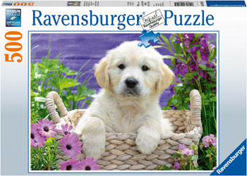 Ravensburger Puzzle - Sweet Golden Retriever 500pc