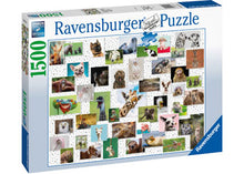 Load image into Gallery viewer, Ravensburger Puzzle - Funny Animals Puzzle 1500 pieces
