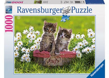 Load image into Gallery viewer, Ravensburger Puzzle - Picnic in the Meadow 1000 pieces
